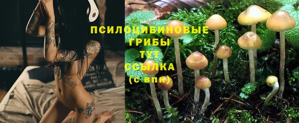 таблы Магас