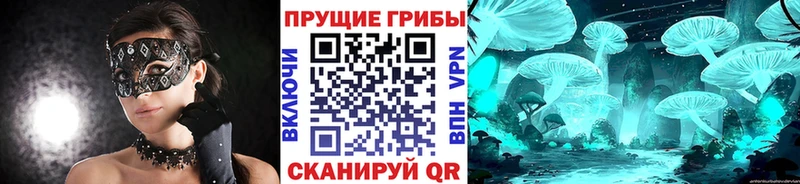 где купить наркоту  МЕГА ССЫЛКА  Псилоцибиновые грибы прущие грибы  Чухлома 